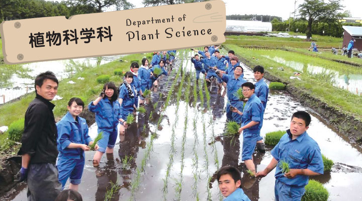 植物科学科